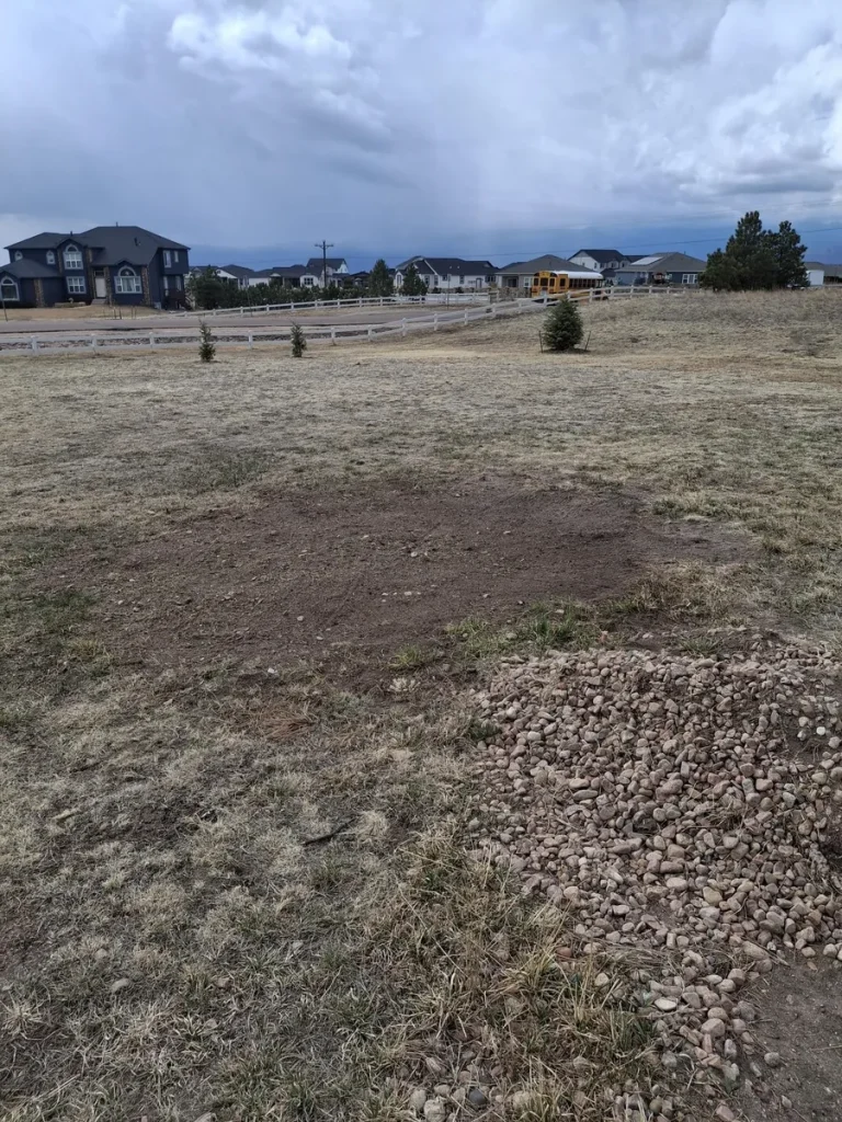 Yard cleared after large yard debris removal in Colorado Springs