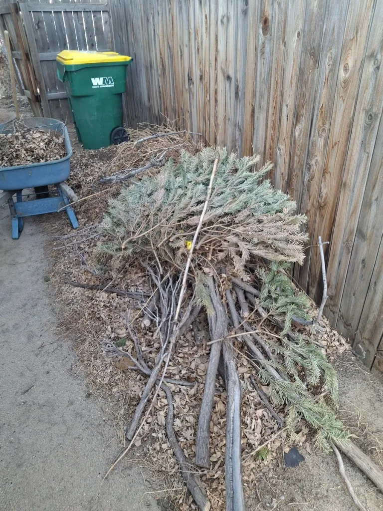 Pile of branches and yard waste ready for removal in Colorado Springs