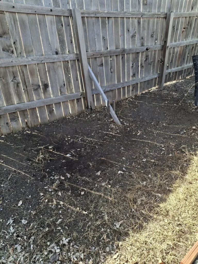 Yard after yard waste and branch removal in Colorado Springs